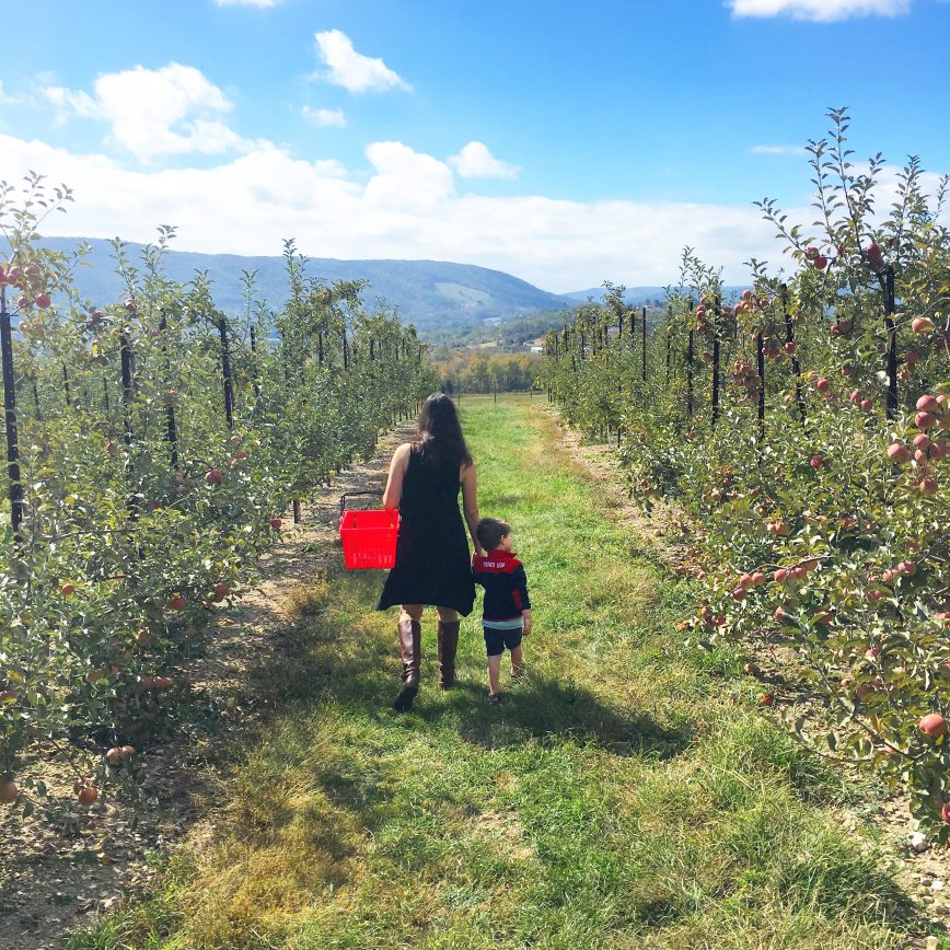 life transitions - tips for transitioning - truths - advice - help - encouragement - What You Make It blog