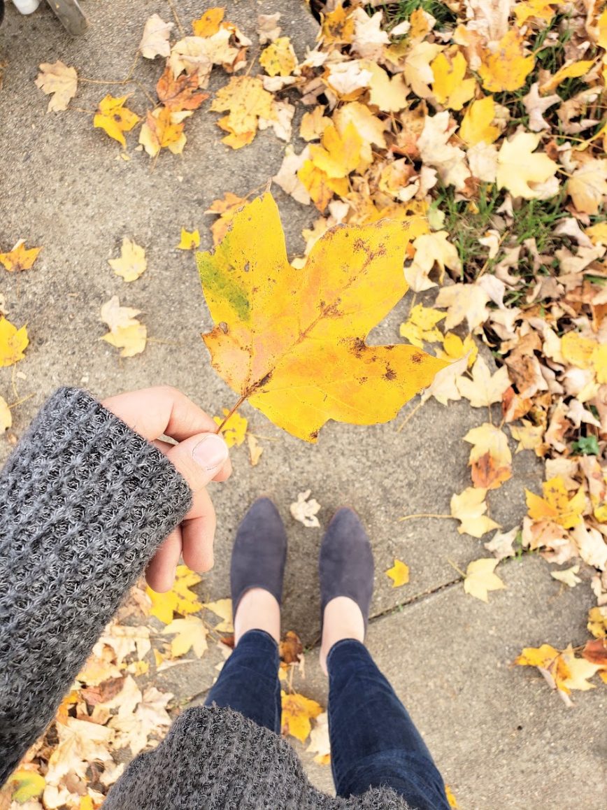 Proverbs 31 woman Bible study - scriptures about being eager and willing - the characteristics of the Proverbs 31 woman - Proverbs 31 woman explained - Proverbs 31 woman today - Christian blog - marriage and motherhood blogger