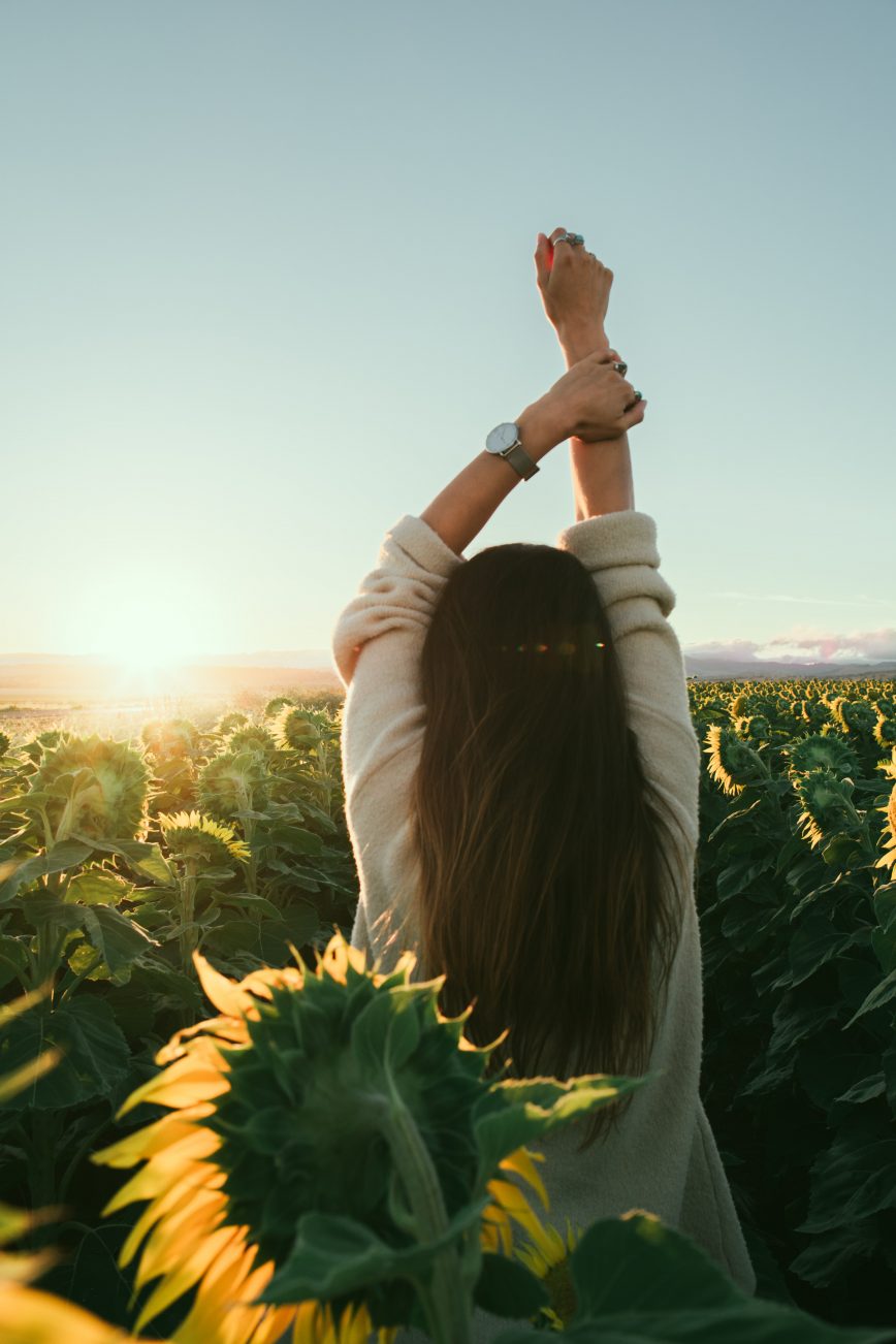 Woman with arms raised in sunflower field