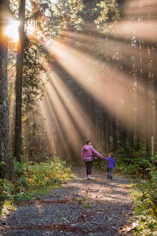 Mother and daughter hiking in woods with sun rays