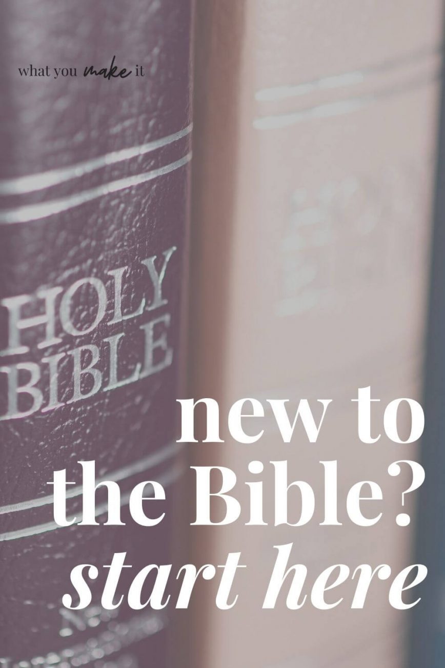 New to the Bible? Start Here (text) with colorful Bibles